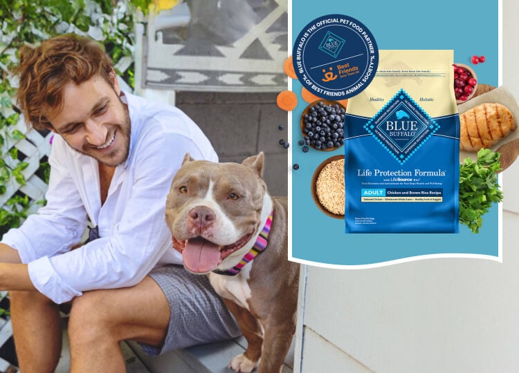 A man sits outside with a happy dog and wholesome dog food ingredients are shown nearby.