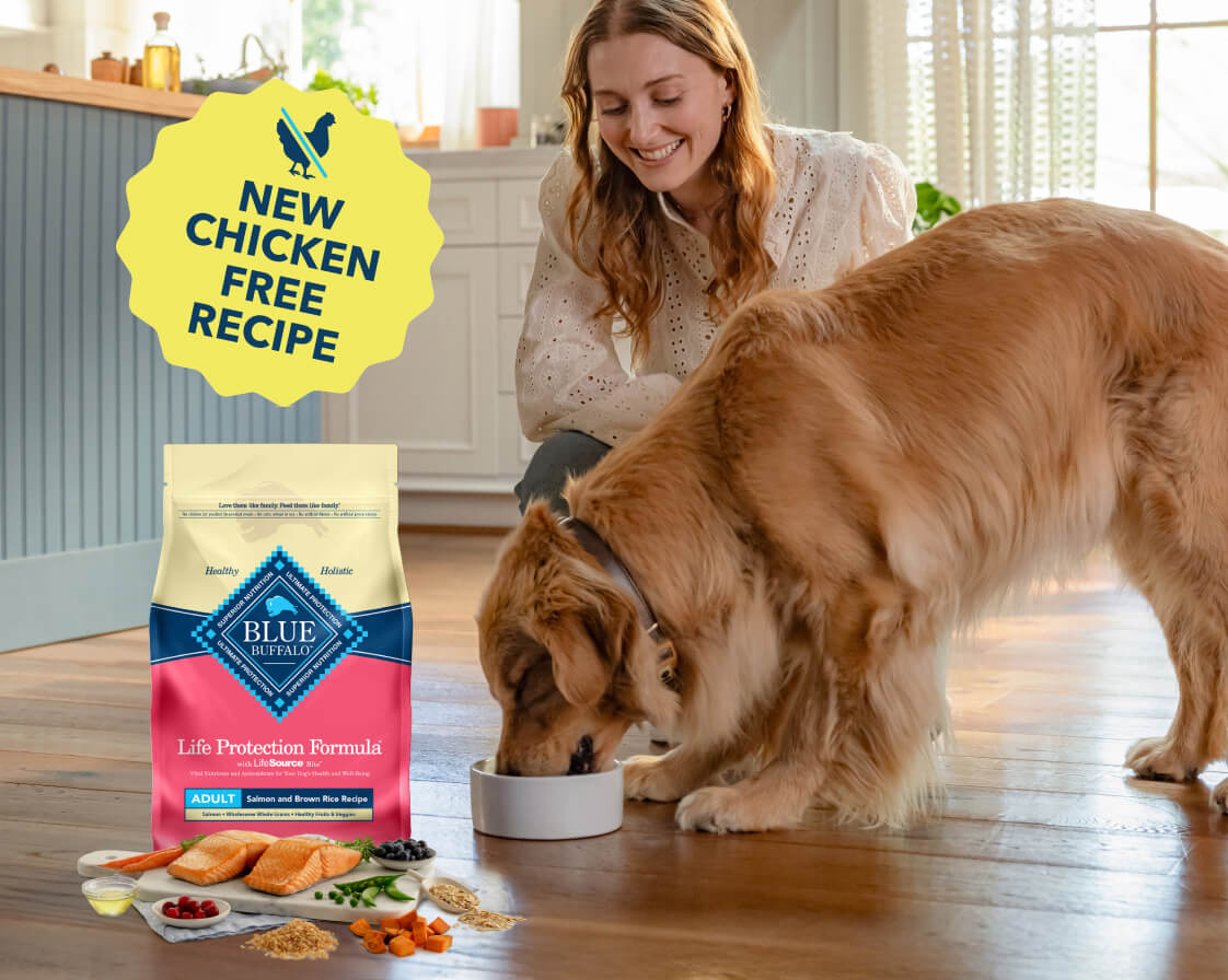 A bag of Life Protection Formula dry dog food is surrounded by fresh parsley, blueberries, cranberries, grains, salmon fillets and carrots.
