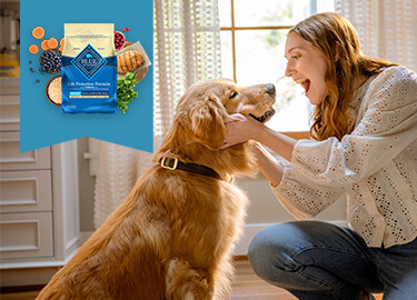 A woman smiles at her Golden Retriever while gently holding its face. To the left, an overhead view of BLUE Life Protection packaging is surrounded by fresh ingredients.