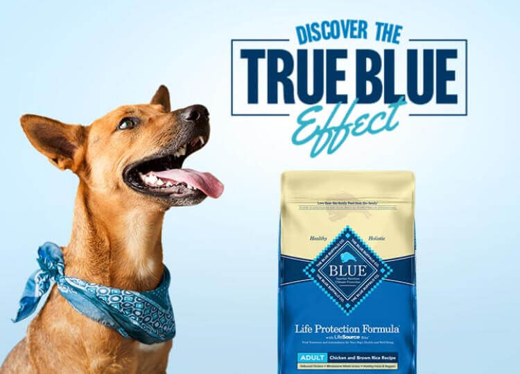 True Blue Effect logo with dog