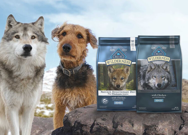 a wolf and an airedale dog next to bags of dry dog food