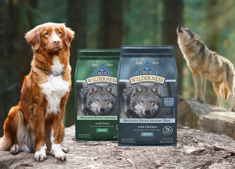 Wilderness dog food bags with dog