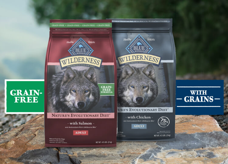 A happy dog sits beside two bags of Blue Buffalo Wilderness dog food labeled 'Grain-Free' and 'With Grains,' with a natural riverside backdrop.
