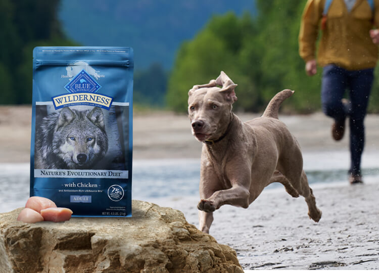 Blue buffalo dog food for pitbulls hotsell