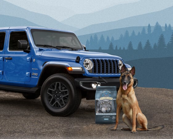 A Jeep Wrangler, a bag of BLUE Wilderness dry dog food, and a German Shepherd are in front of illustrated mountains and trees.