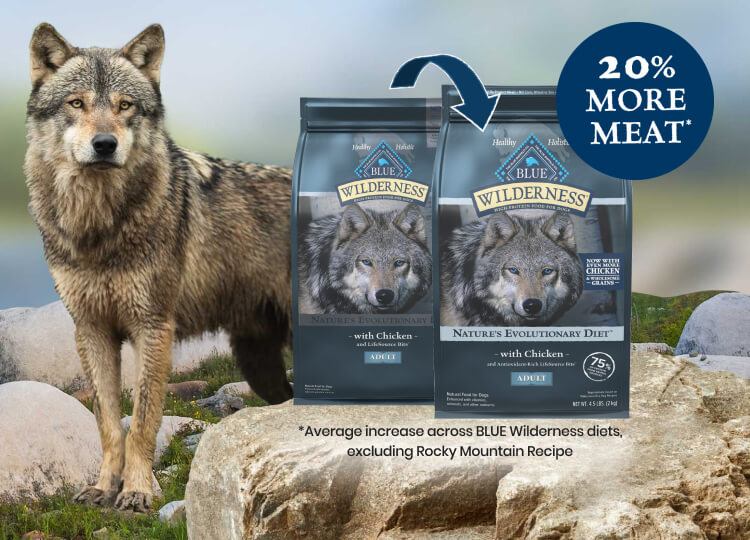 Wilderness More Meat dog food bags with dog