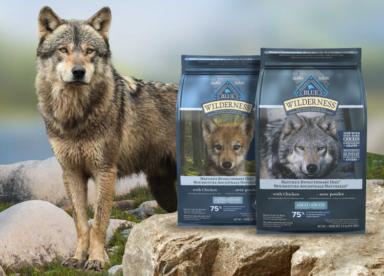 Meat-rich Wilderness dog food