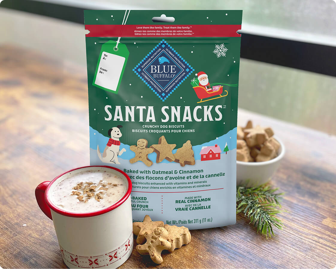 Santa Snacks dog biscuits package with oatmeal and cinnamon, mug of hot drink nearby