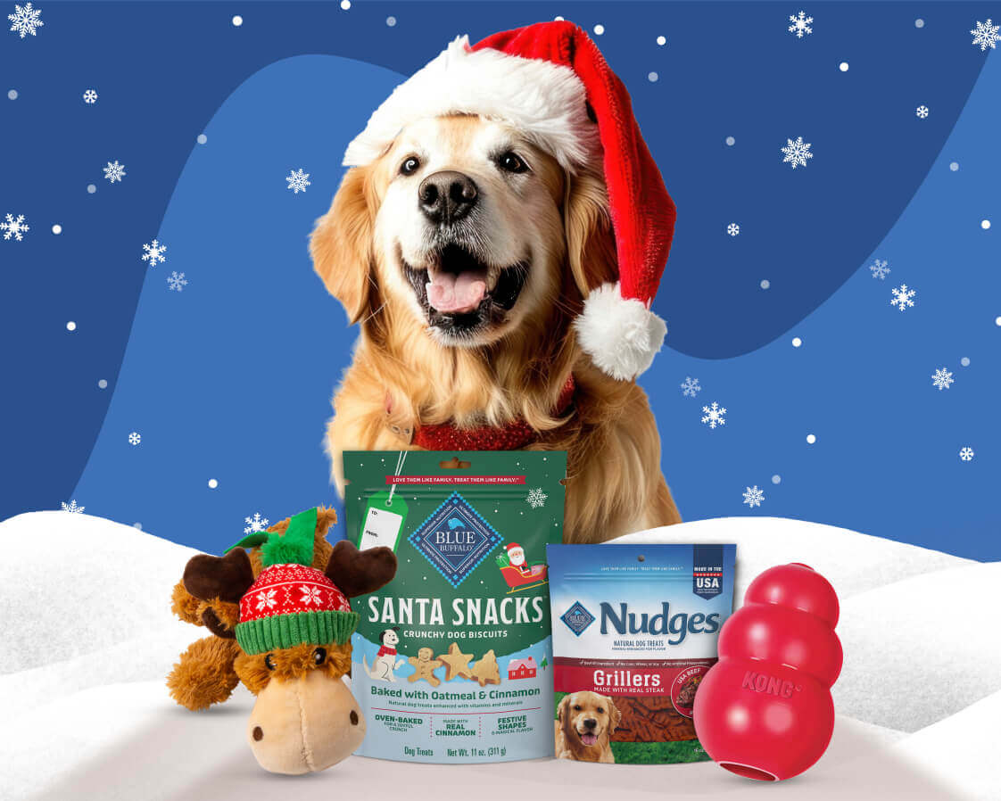A beaming golden retriever wearing a Santa hat is behind two packs of BLUE dog treats and two KONG toys.