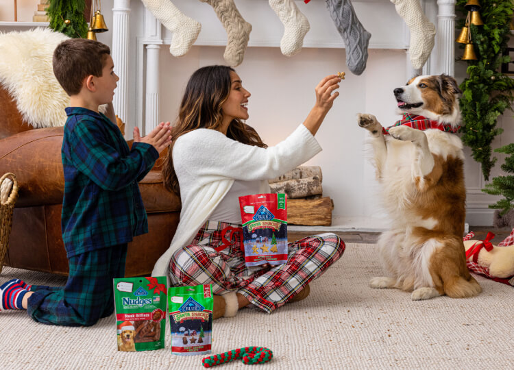 A mom and her son are sitting with their medium-sized dog. She’s holding a pack of BLUE Santa Snacks Biscuits and giving her dog one. One holiday pack of BLUE Nudges, one pack of BLUE Santa Snacks Bits and a red-and-green rope are lying on the floor.