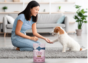 A woman lovingly pets a dog on the floor, while a pack of dog food sits nearby, promising a delicious BLUE Bits Valentine Training Treats for her furry friend.