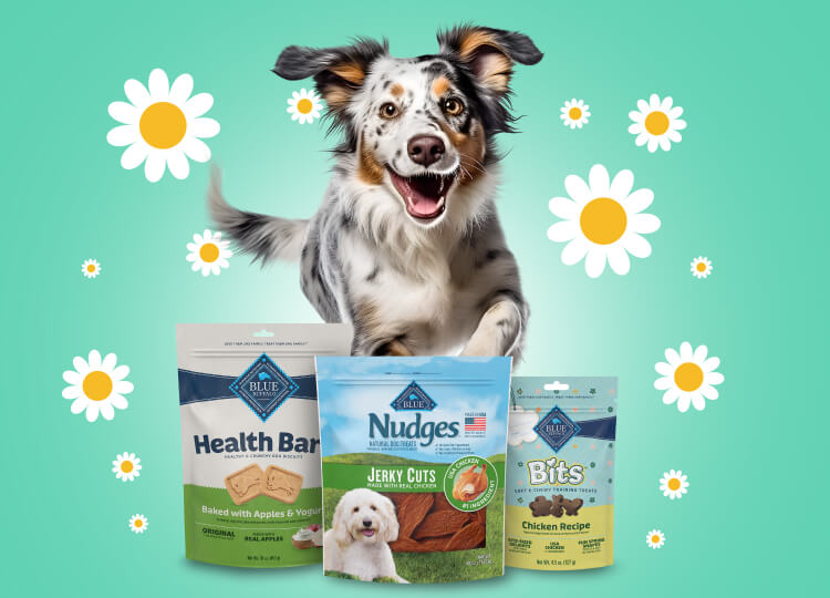 A white and gray dog is jumping toward the camera. Packs of BLUE Health Bars, Nudges and Bits are in front of the dog and there are illustrated daisies floating around him.