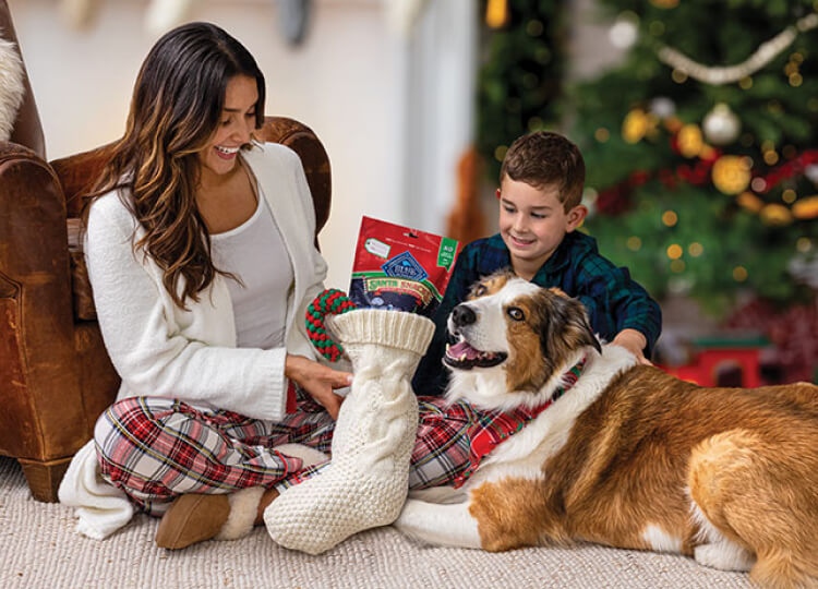 A mom and her son are sitting with their medium-sized dog. She’s holding a stocking filled with BLUE Santa Snacks Biscuits and a rope toy.