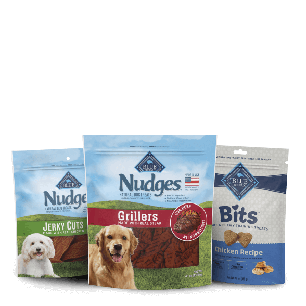 Three neatly arranged bags of Blue Buffalo dog treats and cuts of fresh meat featured in the treat recipes.