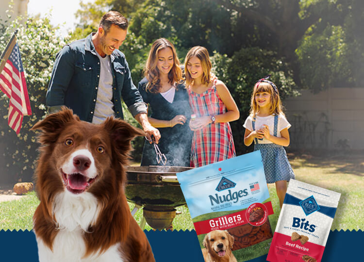 The image shows a family of four enjoying an outdoor barbecue in a sunny backyard. A dog is in the foreground, and there are two bags of Blue Buffalo dog treats labeled “Nudges Grillers” and “Nudges Jerky Cuts” visible. An American flag is also present, suggesting a patriotic or holiday theme.