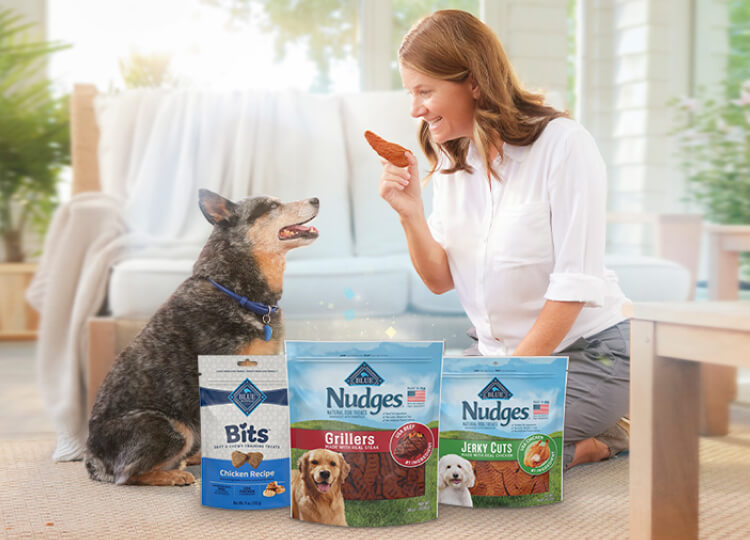 In a bright, sunny room, a woman offers a treat to a seated dog next to a display of Blue Buffalo dog food products. Image depicts the transition in packshot bags for new packaging.