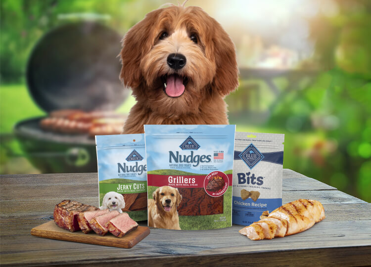 A brown dog with long fur sticks out its tongue, sitting behind three neatly arranged bags of Blue Buffalo dog treats and cuts of fresh meat featured in the treat recipes.