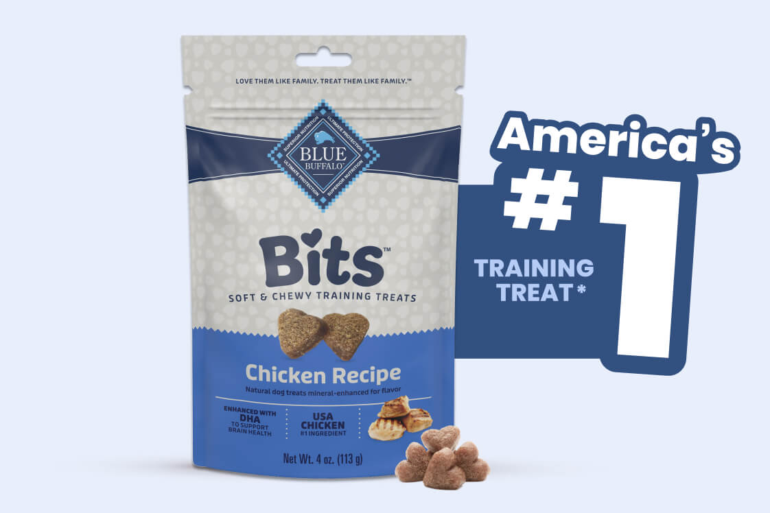 Blue Buffalo Bits soft and chewy training treats, chicken recipe flavor.