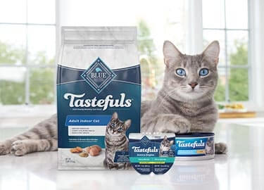 Tastefuls cat food with cat