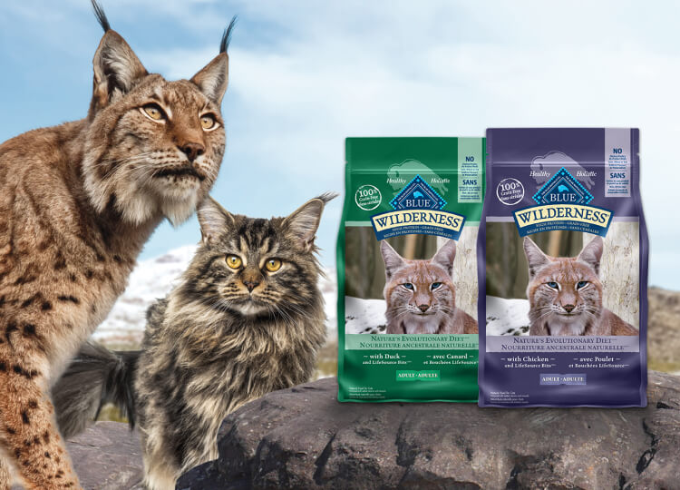 BLUE Wilderness All Natural Cat Food