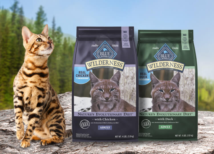 Blue Buffalo high-protein, meat-rich cat food