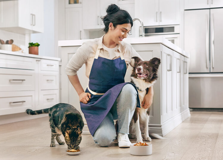 A woman in an apron smiles while feeding a cat and petting a happy brown and white dog in a sunlit modern kitchen.