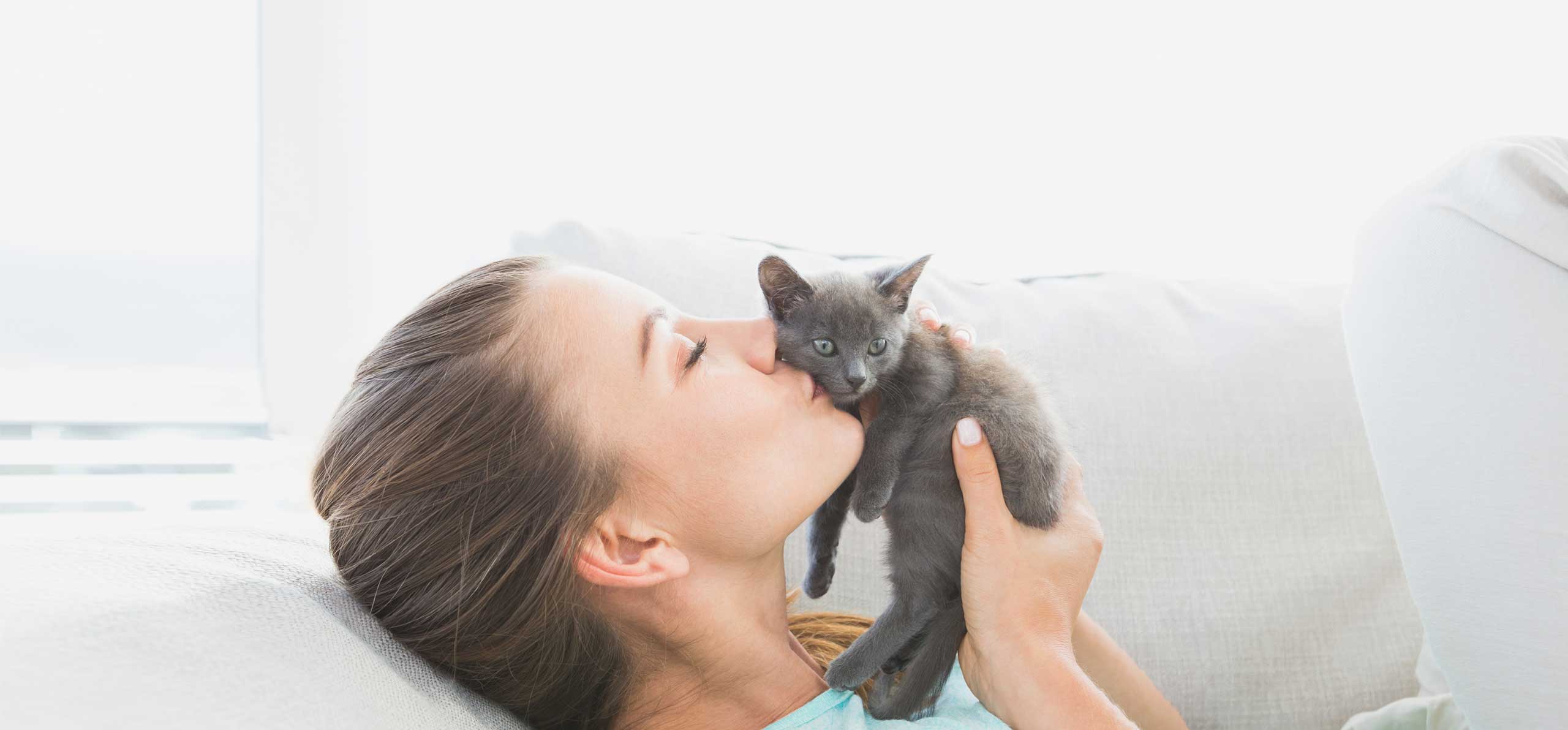 Cat Adoption: A Guide to Bringing Home an Adult Cat