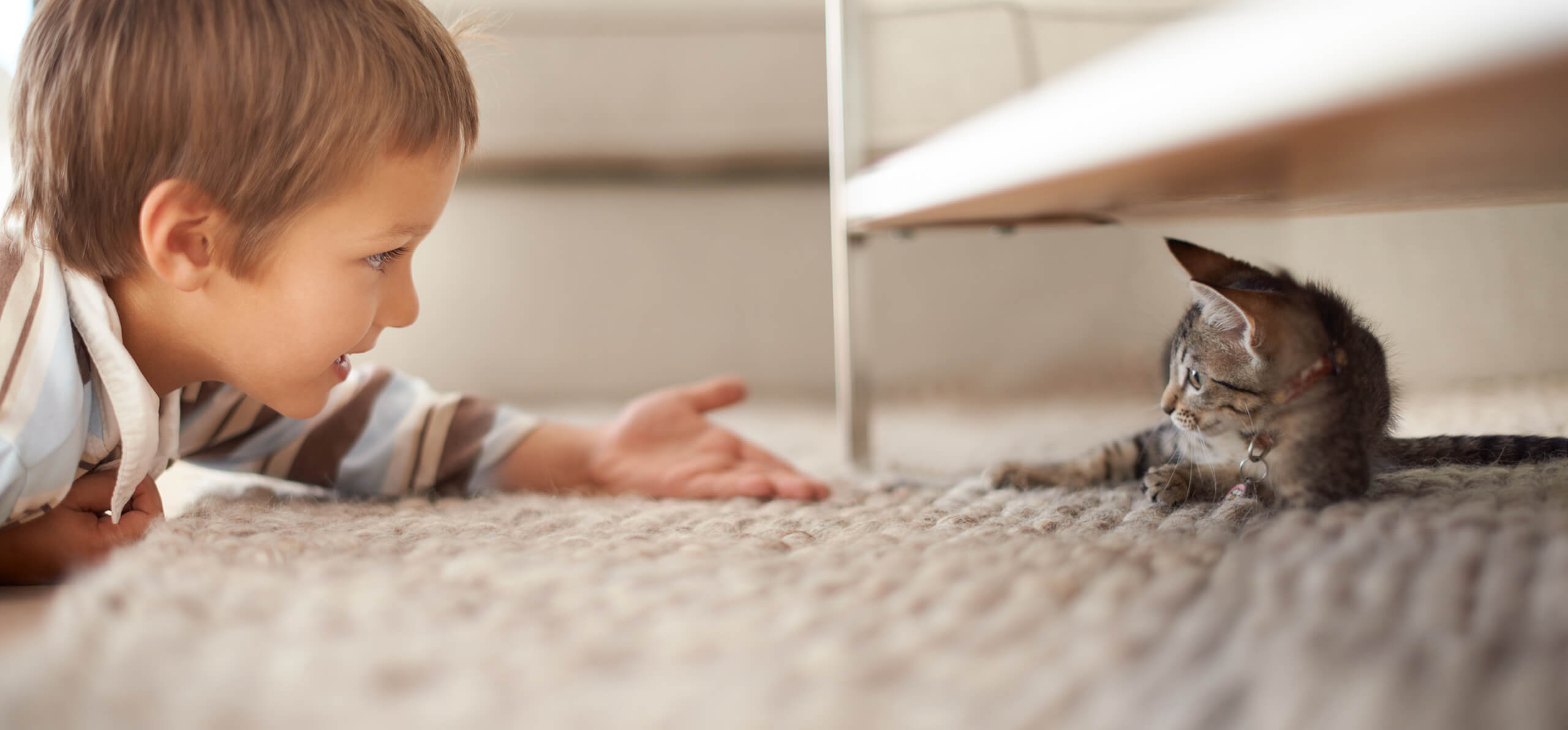 young boy reaching his hand out to his kitten under a bench