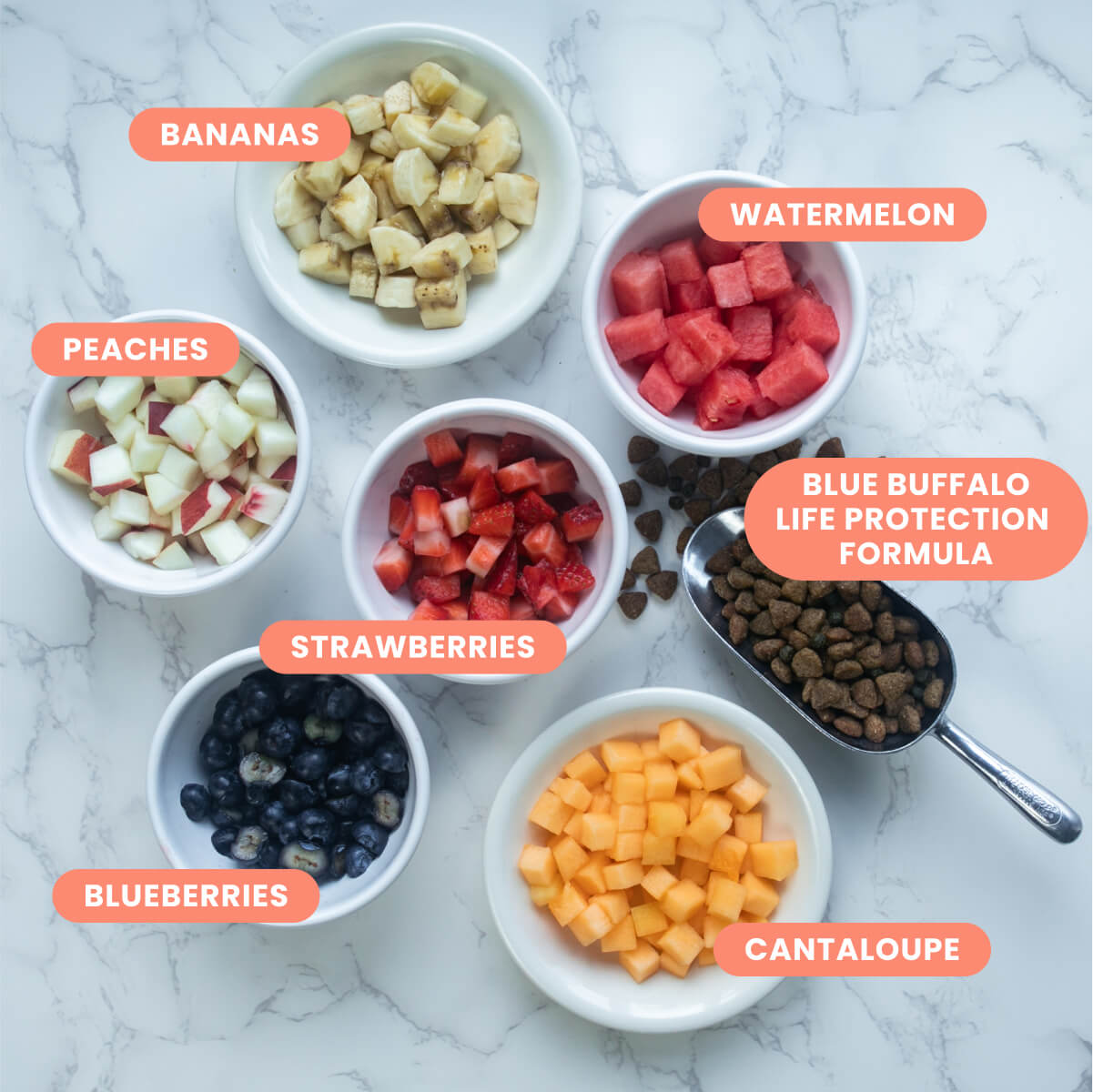 Blue Buffalo Summertime Bowl Recipe ingredients - One serving of BLUE Life Protection Formula Beef and Brown Rice Recipe, Strawberries, Watermelon, Blueberries, Cantaloupe, Bananas, Peaches kept in a bowl