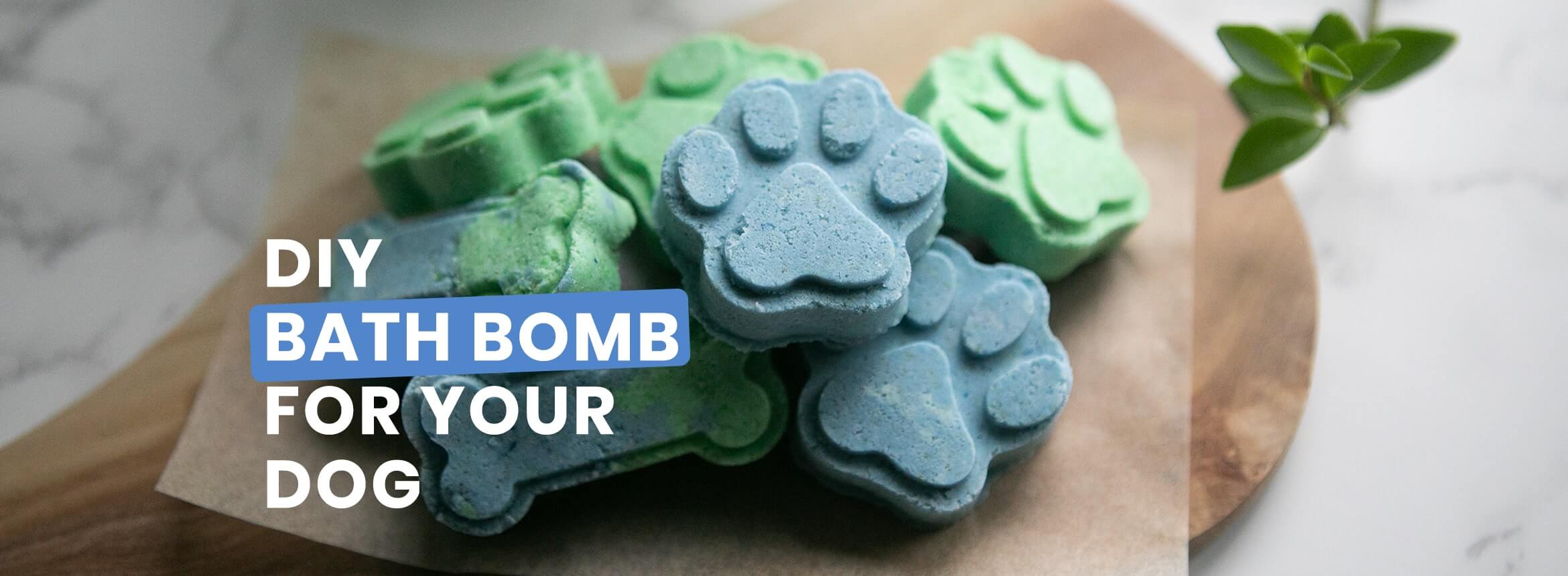 bath bomb for dogs