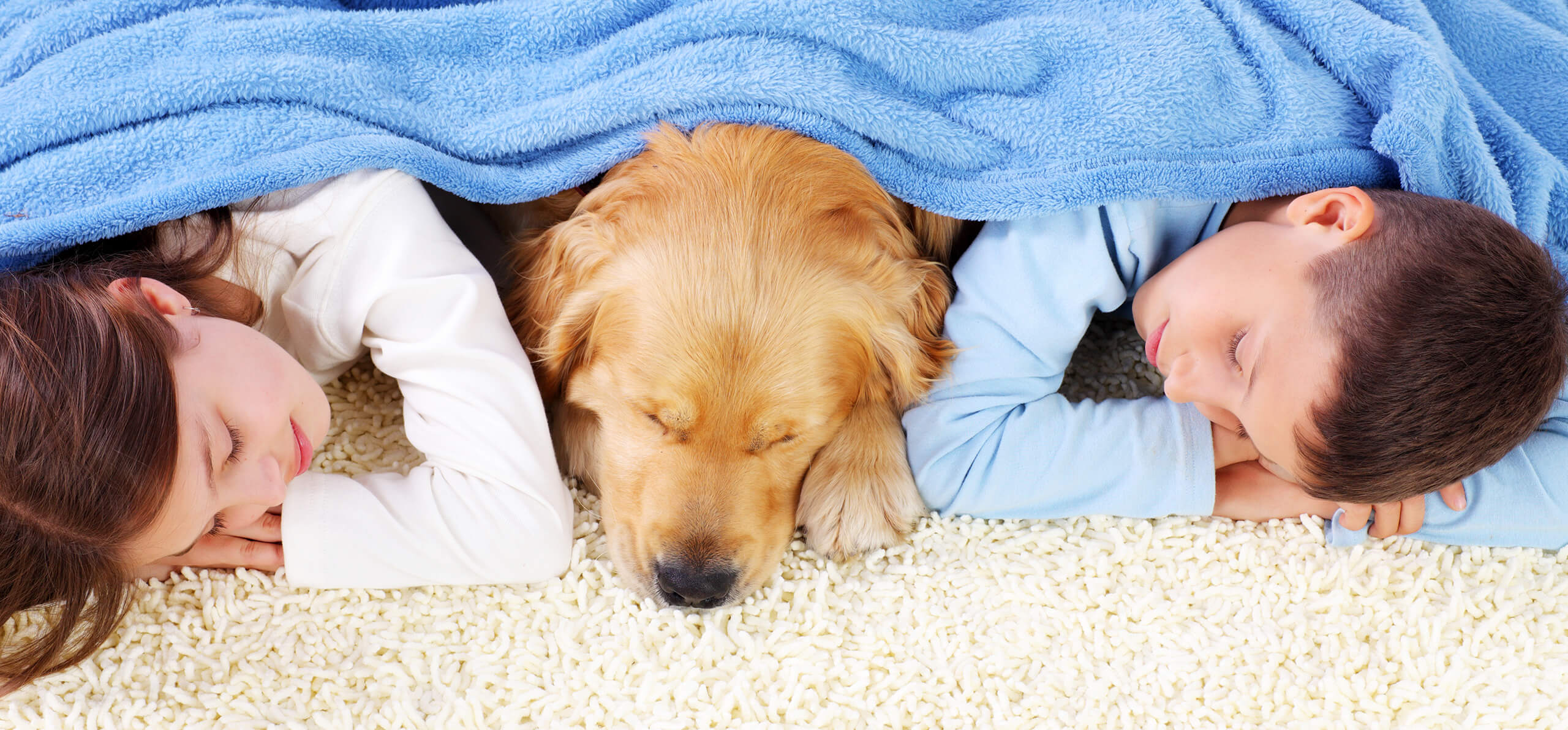 boy and girl sleeping with their dog under the same blanket