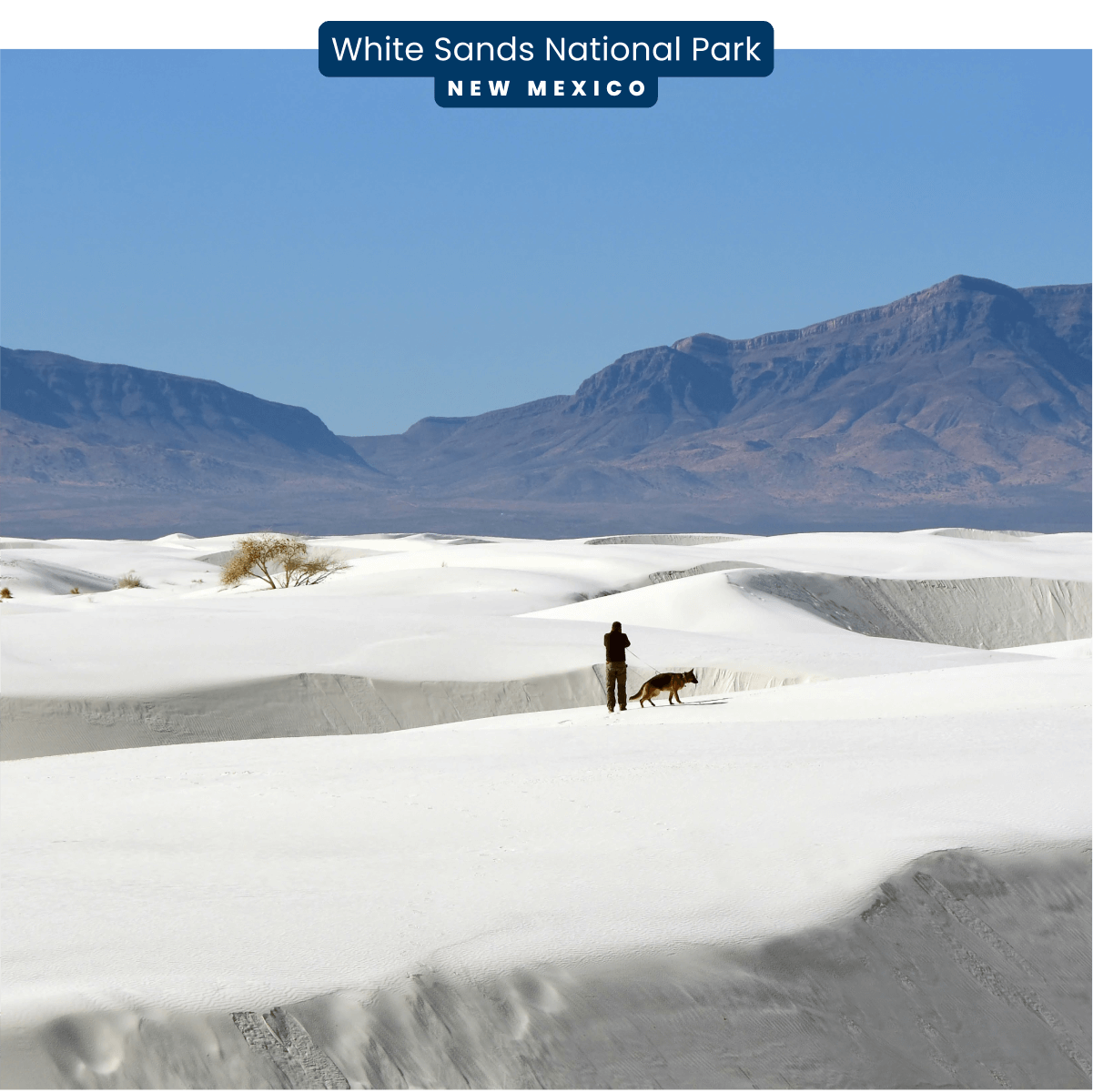 White Sands National Park — New Mexico