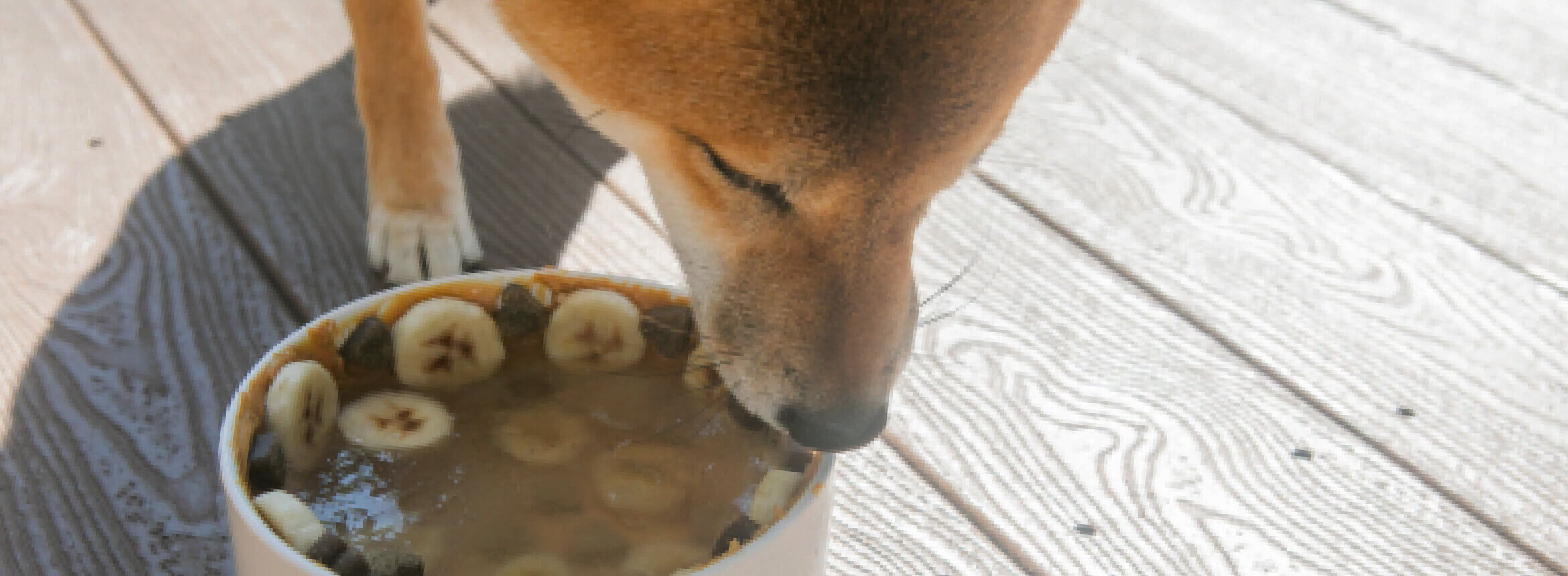 BLUE Bits - A dog enjoying a Blue Bits meal from a bowl filled with bananas.