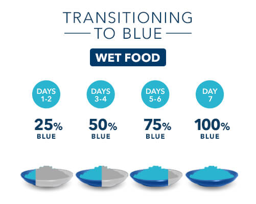 21-400-3162-ARTICLES - Transitioning from One Food to Another - Body Infographics_Wet Food.jpg