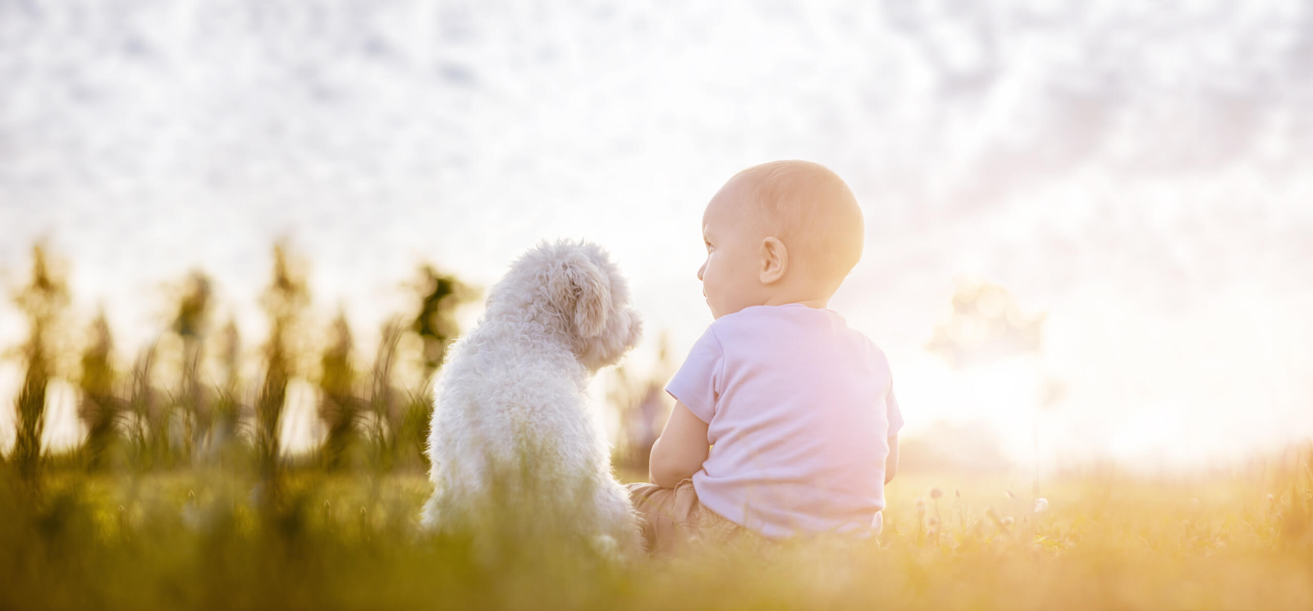 dog and toddler sitting in grass looking at the sunset