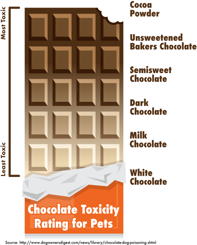 how much chocolate is safe for a dog