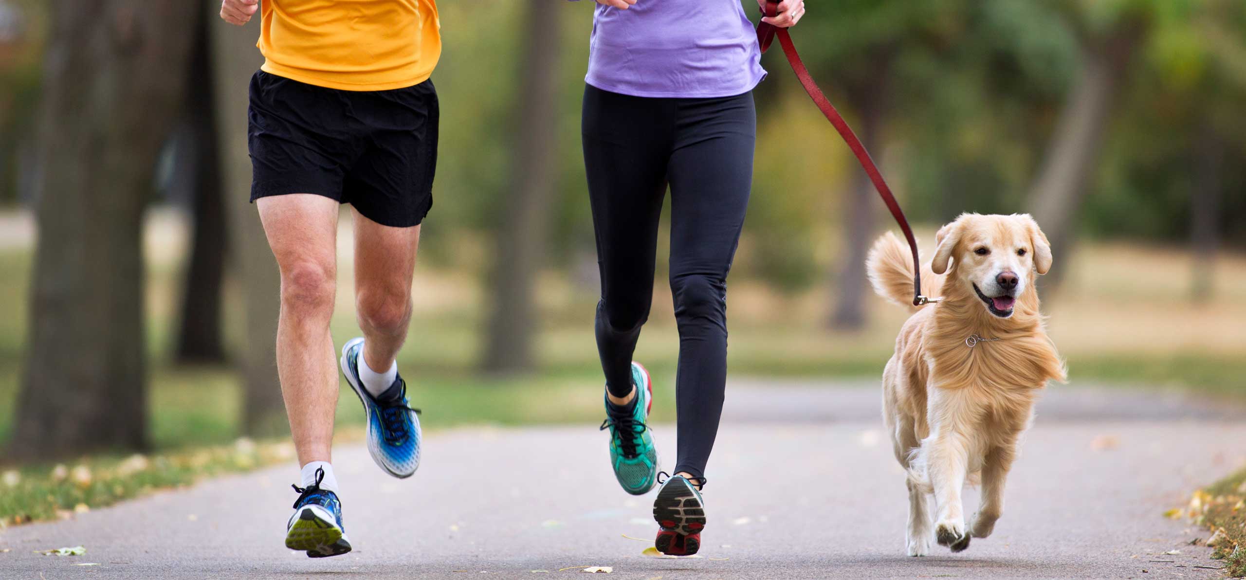 dog smiling and running along side a couple runners