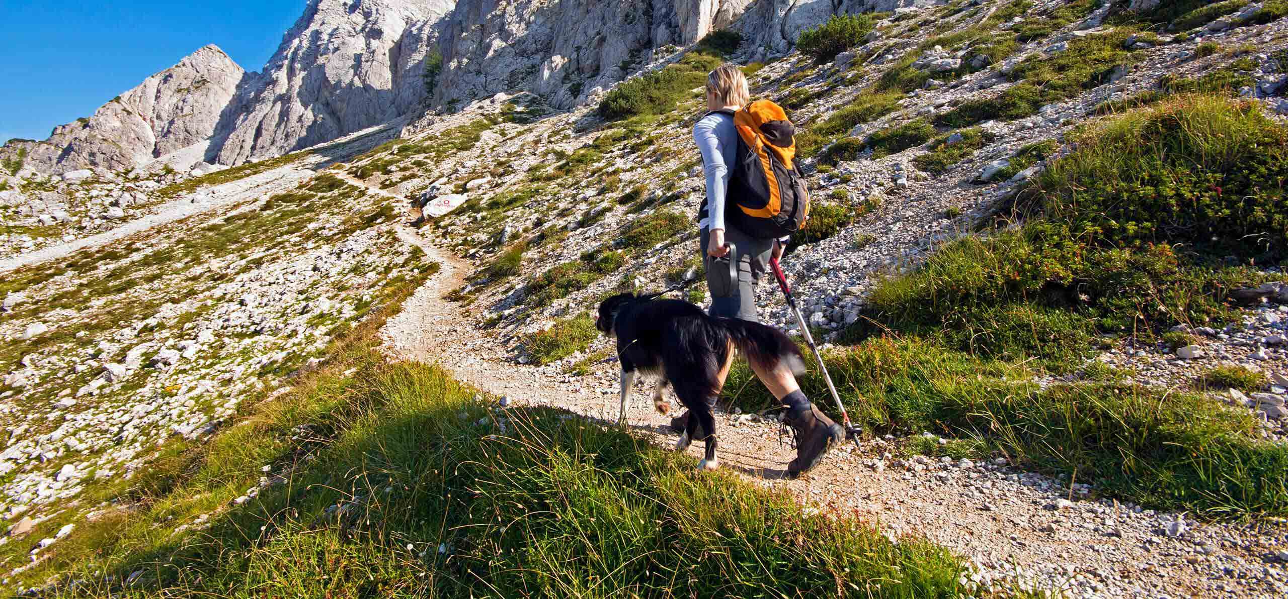 woman and her dog walking along a mountain-side gravel trail