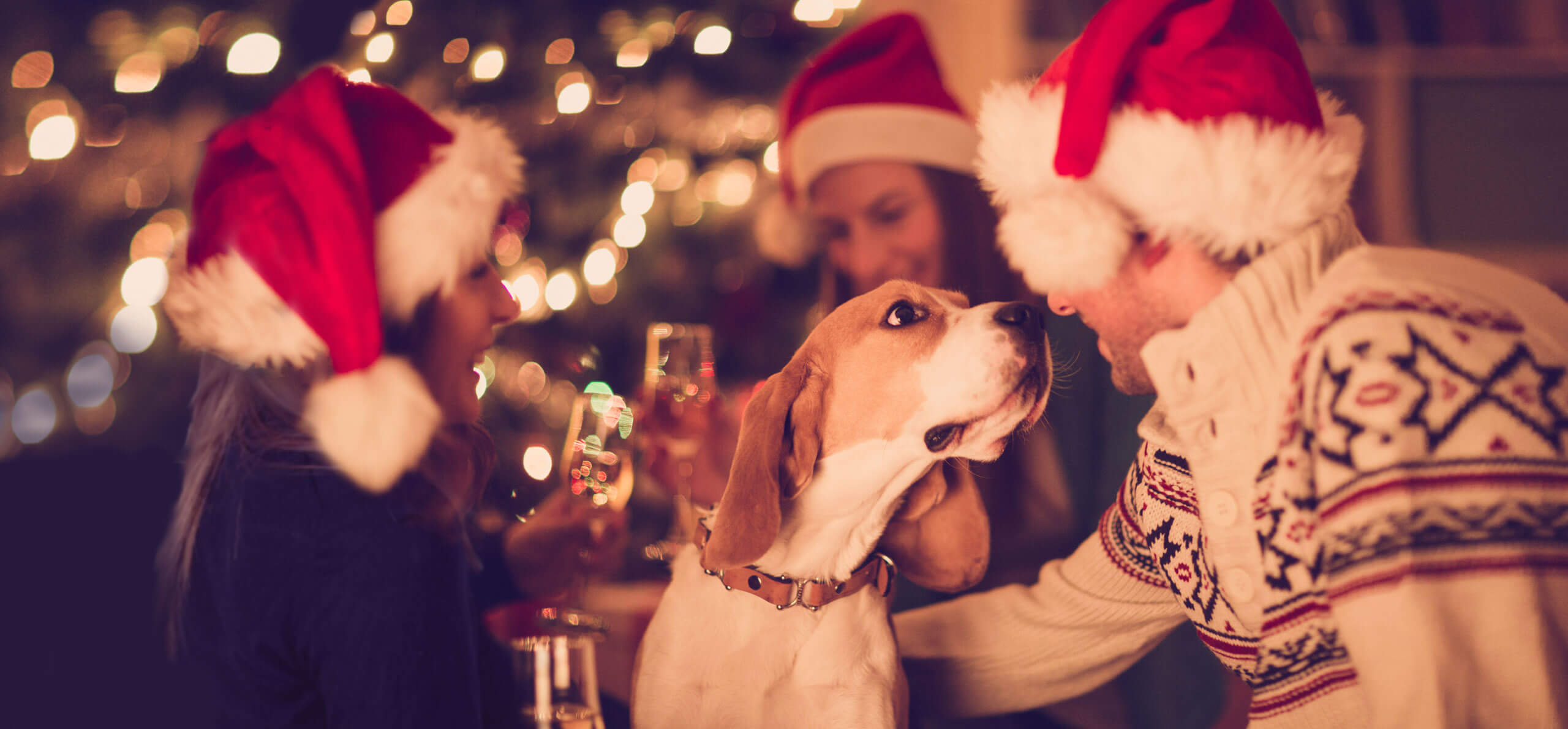 dog sniffing owner wearing a santa hat at a small party