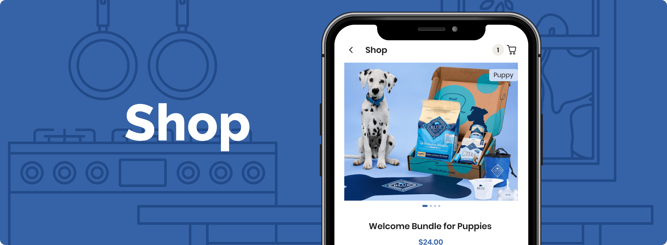 Shop illustration of Buddies app