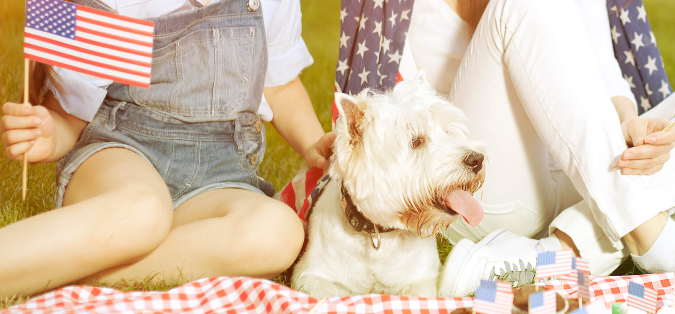 dog and two individuals laying a picnic blanket with usa flags