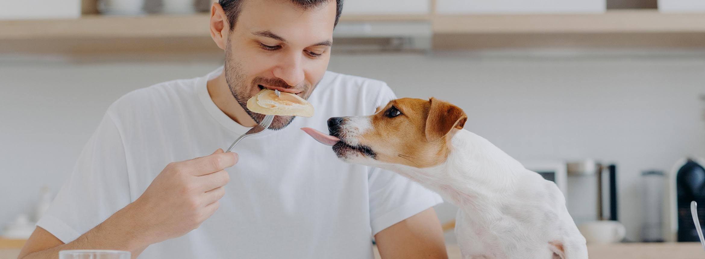 image of man eating with dog at table