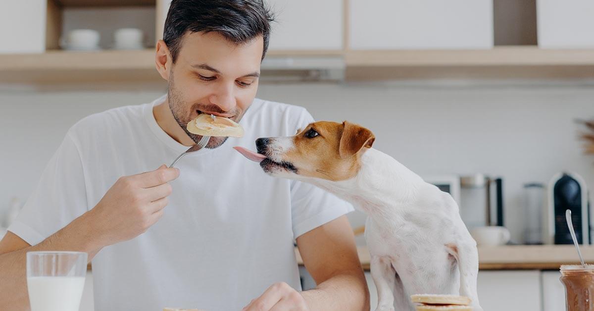 https://bluebuffalo.com/globalassets/bff-articles/shared-articles/new-bff-7-human-foods-to-avoid-feeding-your-pets/learnarticles_share_227humanfoods.jpg