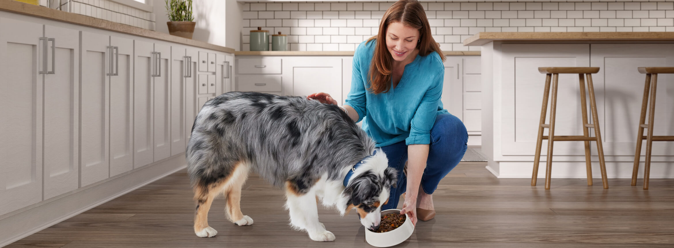 Blue Buffalo - A woman tenderly feeding her dog food while kneeling down, showing love and care towards her furry companion.