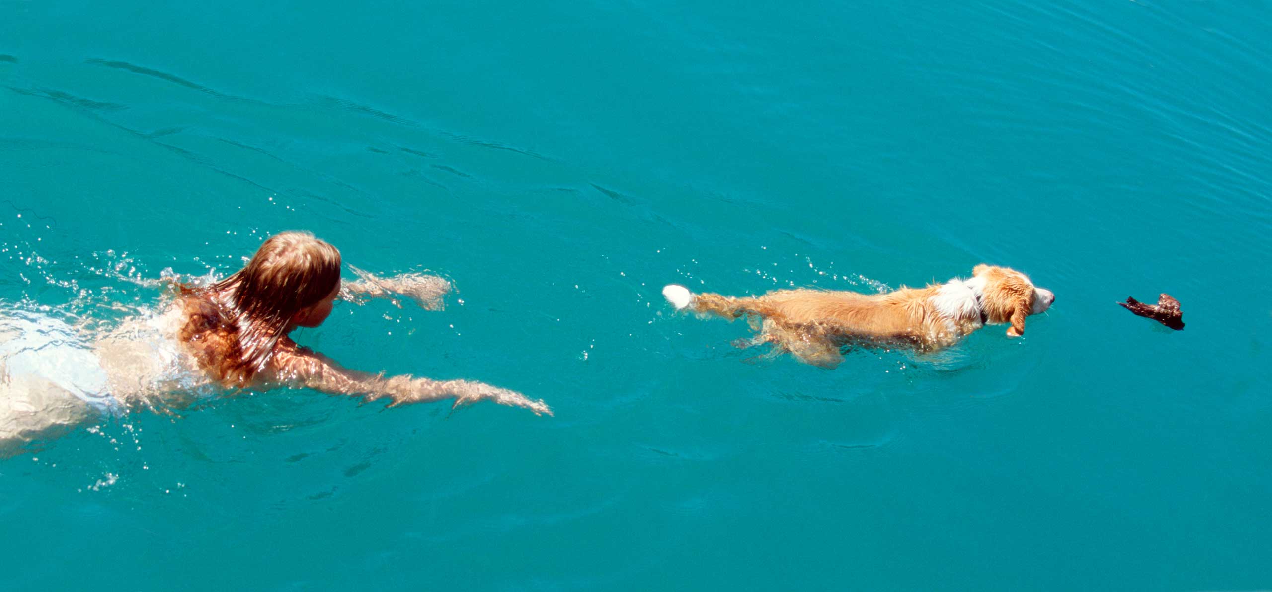 woman and dog swimming in clear blue waters