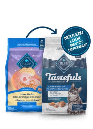 two bags of cat food