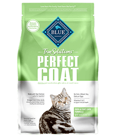 Best cat food outlet for skin and coat