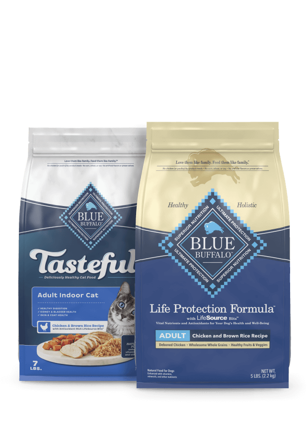 Two Blue Buffalo pet food bags: one for adult indoor cats, blue, and one adult dog formula, beige, with brand and food details visible.