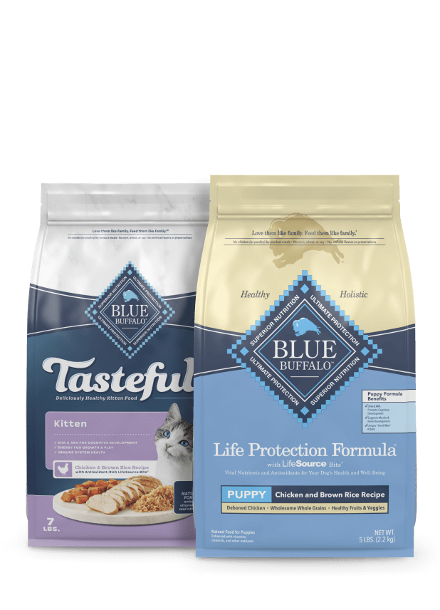 Two bags of Blue Buffalo pet food, one for kittens labeled Tasteful, and one for puppies labeled Life Protection Formula, both emphasizing health and holistic nutrition.