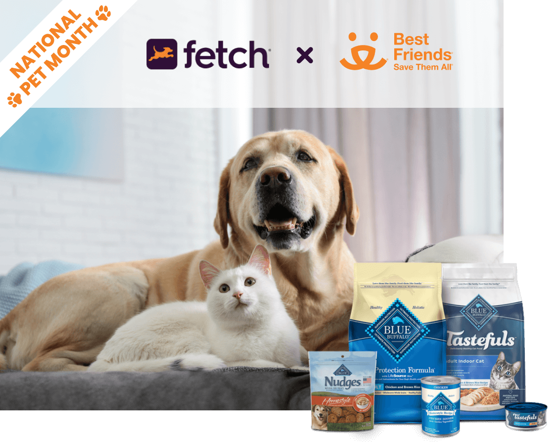 A dog and cat are lying on a couch. Some BLUE products are at the bottom and the Fetch and Best Friends logos are at the top.